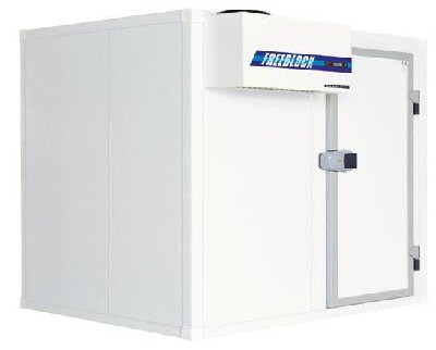 CELLA KLM.jpg